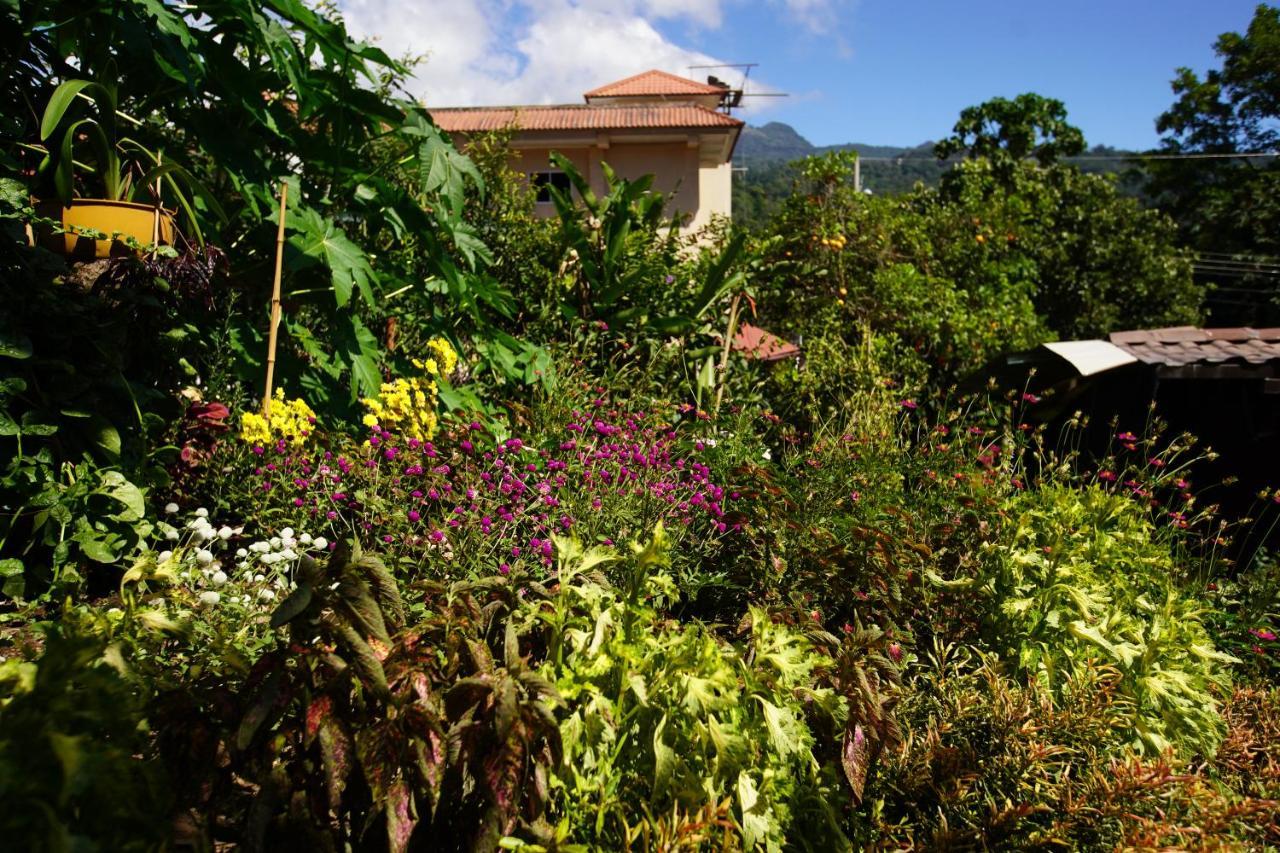 Agaseke Lodge Boquete Exterior photo