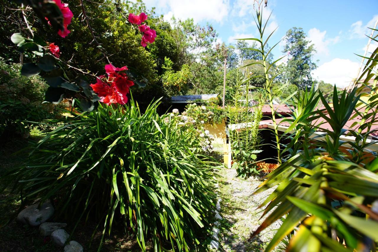 Agaseke Lodge Boquete Exterior photo